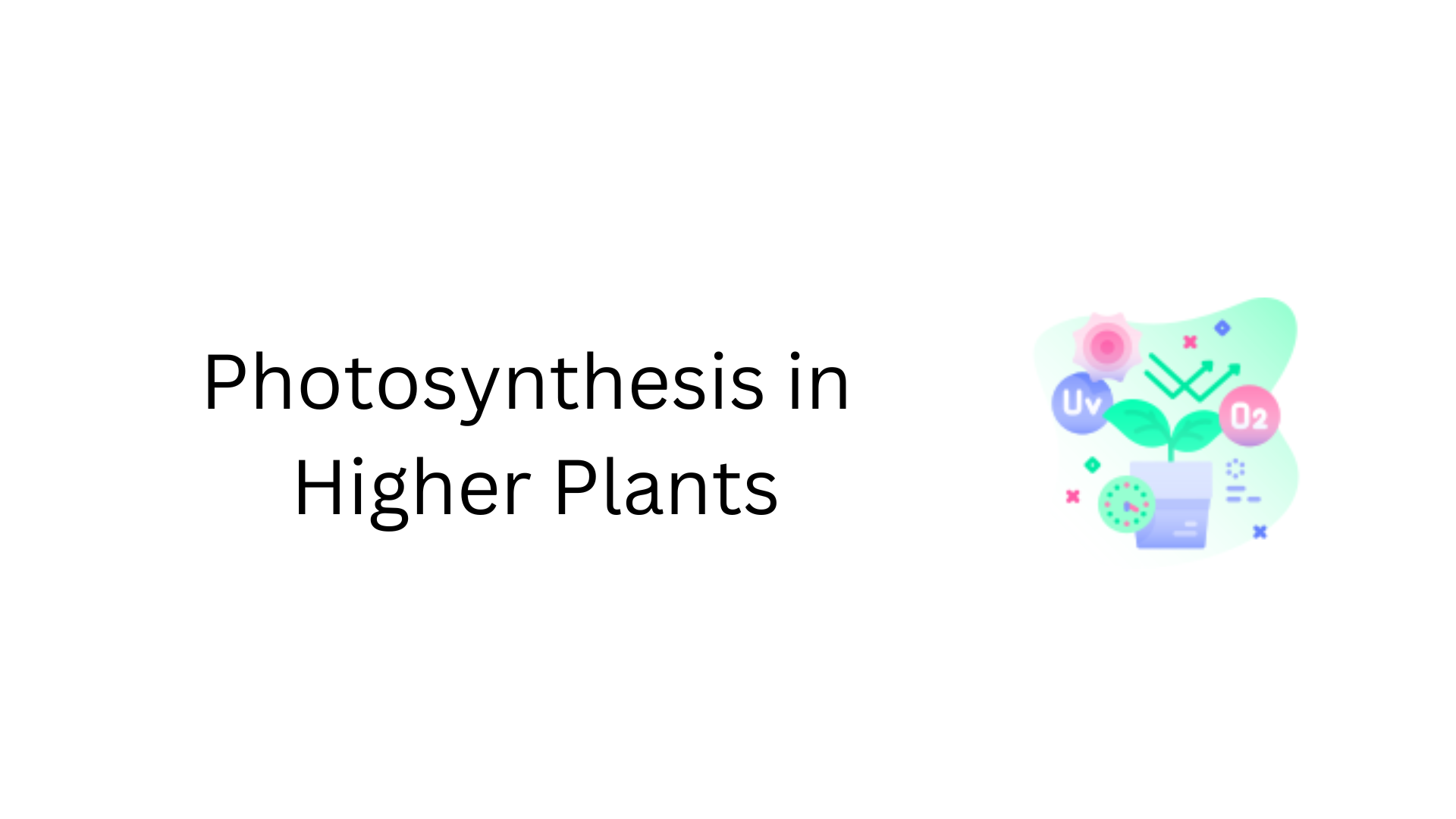 photosynthesis-in-higher-plants-vibrantnotes